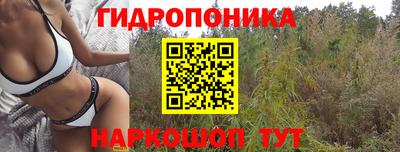 твердый Бийск